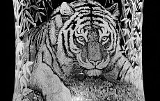 Примеры работ 6 - Лазерный СО2 маркировщик LSW 20